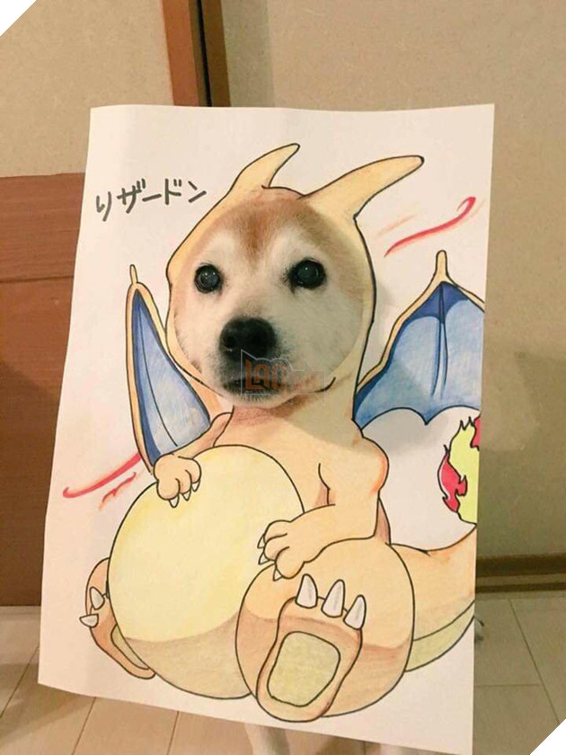 Cười sái quai hàm với chùm ảnh khi bạn là chó nhưng sen lại đam mê Pokemon - Ảnh 2. Cười sái quai hàm với chùm ảnh khi bạn là chó nhưng sen lại đam mê Pokemon - Ảnh 2.