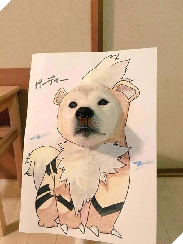 Cười sái quai hàm với chùm ảnh khi bạn là chó nhưng sen lại đam mê Pokemon - Ảnh 4. Cười sái quai hàm với chùm ảnh khi bạn là chó nhưng sen lại đam mê Pokemon - Ảnh 4.