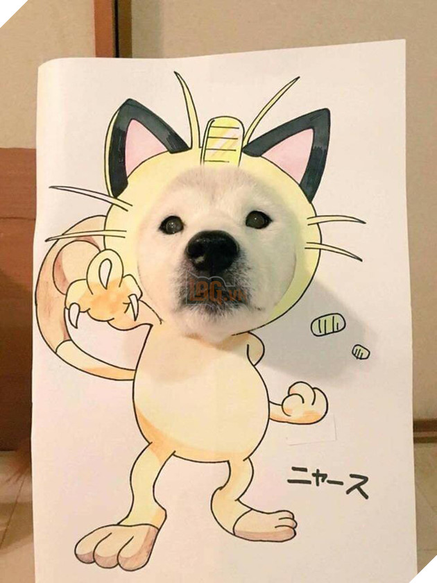 Cười sái quai hàm với chùm ảnh khi bạn là chó nhưng sen lại đam mê Pokemon - Ảnh 8. Cười sái quai hàm với chùm ảnh khi bạn là chó nhưng sen lại đam mê Pokemon - Ảnh 8.