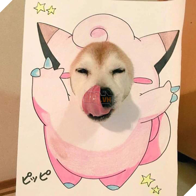 Cười sái quai hàm với chùm ảnh khi bạn là chó nhưng sen lại đam mê Pokemon - Ảnh 9. Cười sái quai hàm với chùm ảnh khi bạn là chó nhưng sen lại đam mê Pokemon - Ảnh 9.