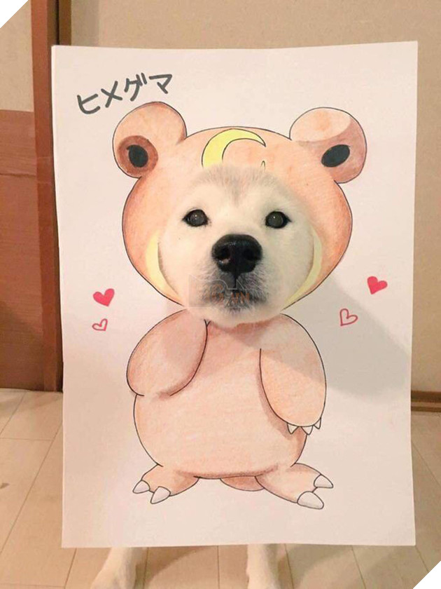 Cười sái quai hàm với chùm ảnh khi bạn là chó nhưng sen lại đam mê Pokemon - Ảnh 11. Cười sái quai hàm với chùm ảnh khi bạn là chó nhưng sen lại đam mê Pokemon - Ảnh 11.