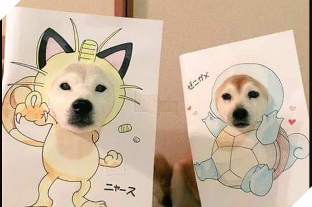 Cuoi sai quai ham voi chum anh khi ban la cho nhung sen lai dam me Pokemon Cười sái quai hàm với chùm ảnh khi bạn là chó nhưng sen lại đam mê Pokemon