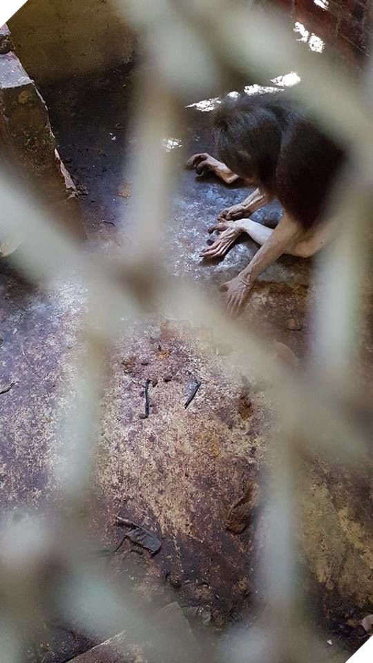 Ám ảnh cảnh động vật bị cầm tù, sống vật vờ tại công viên giải trí Củ Chi 2