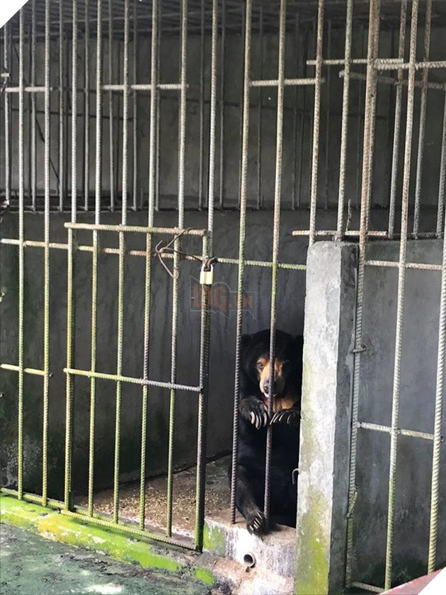 Ám ảnh cảnh động vật bị cầm tù, sống vật vờ tại công viên giải trí Củ Chi 6