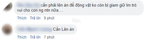 Ám ảnh cảnh động vật bị cầm tù, sống vật vờ tại công viên giải trí Củ Chi 10