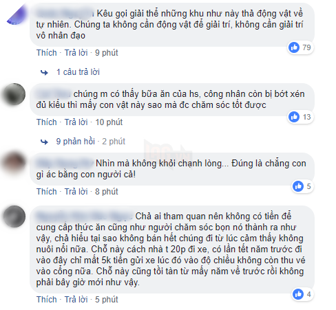 Ám ảnh cảnh động vật bị cầm tù, sống vật vờ tại công viên giải trí Củ Chi 12