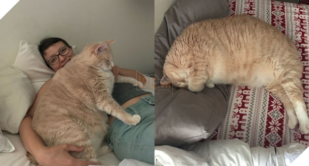 Vẻ đẹp ‘nghiêng nước nghiêng thành’ của vị ‘quàng thượng’ mũm mĩm ‘đốn tim’ CĐM