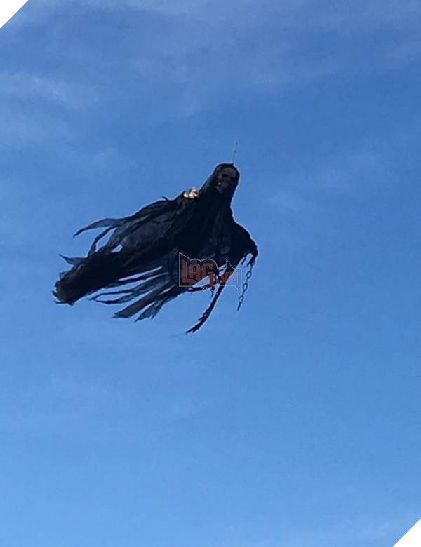 Tong hop nhung pha treu nguoi cuc gat trong ngay le Halloween 14 cu7dcytwgaa1xjj