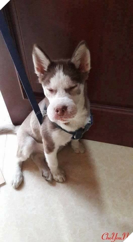 "Đừng hỏi em vì sao im lặng…”
"Đừng hỏi em vì sao im lặng…”