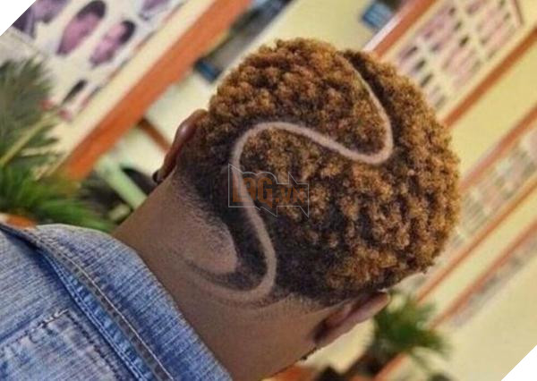 lost bird kieu toc chat choi 15