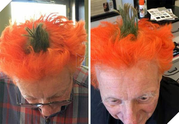 lost bird kieu toc chat choi 18