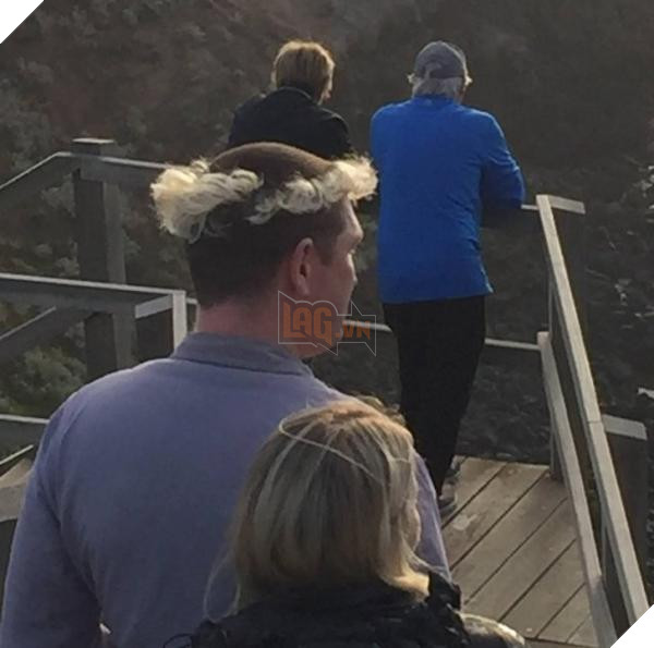 lost bird kieu toc chat choi 4