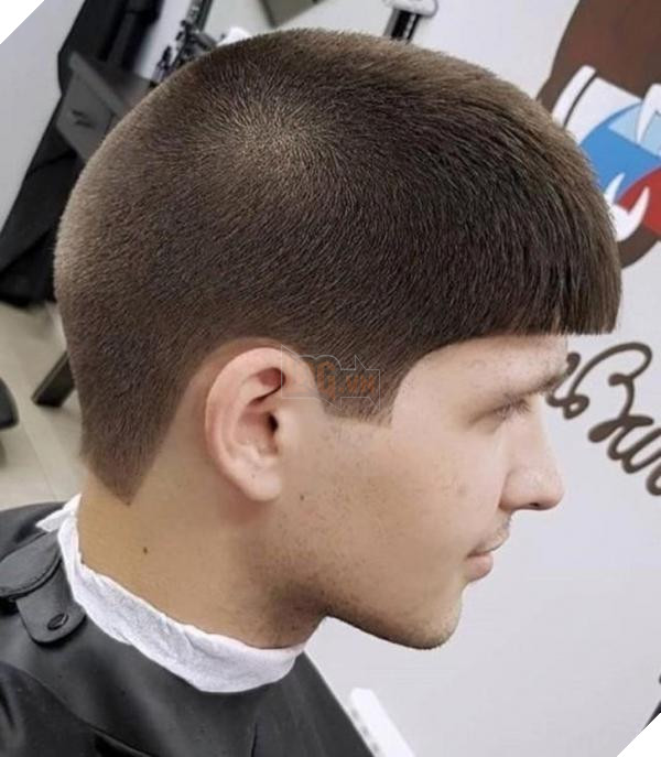 lost bird kieu toc chat choi 7