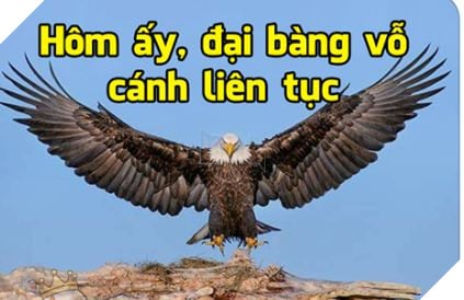 Tong hop Meme Hoa Mi Khong hot nua dang rat hot tren cong dong mang Facebook 12 Tổng hợp Meme Họa Mi Không hót nữa đang rất hot trên cộng đồng mạng Facebook 12