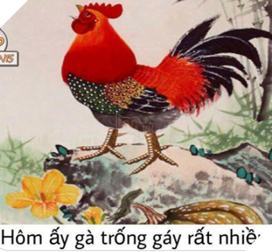 Tong hop Meme Hoa Mi Khong hot nua dang rat hot tren cong dong mang Facebook 9 Tổng hợp Meme Họa Mi Không hót nữa đang rất hot trên cộng đồng mạng Facebook 9