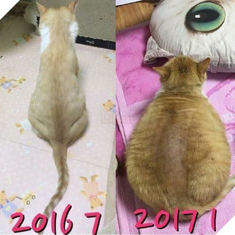 Lúc trước đâu có ngờ ăn bao nhiêu nó dồn xuống vòng 2, vòng 3 thế này, hối hận quá!
Lúc trước đâu có ngờ ăn bao nhiêu nó dồn xuống vòng 2, vòng 3 thế này, hối hận quá!