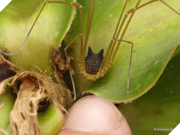 5be1dfe99e8c533bd80740a8 960 721