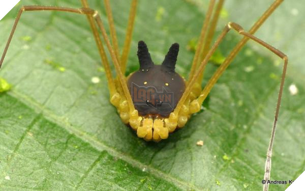 photo 1 15414871794721179429208