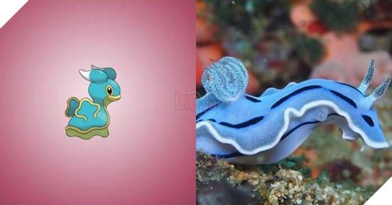 Đây là hình ảnh của 15 loài Pokemon ngoài đời thực, bạn biết được bao nhiêu loài? - Ảnh 2.