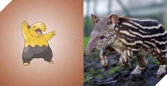 Đây là hình ảnh của 15 loài Pokemon ngoài đời thực, bạn biết được bao nhiêu loài? - Ảnh 12.