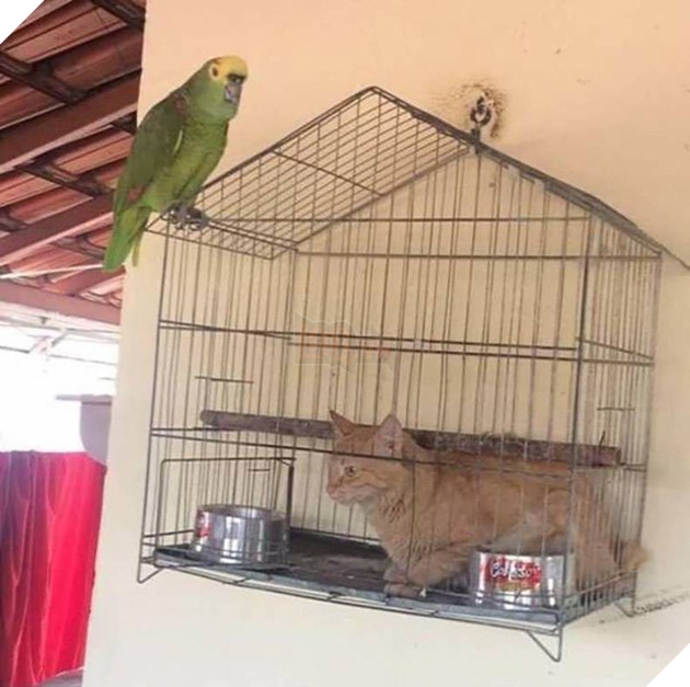 [Vui] Những khoảnh khắc hiểu chết liền trong cuộc sống như đang bắt lú bạn - Ảnh 3.