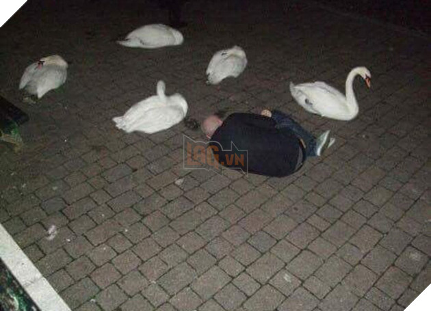 [Vui] Những khoảnh khắc hiểu chết liền trong cuộc sống như đang bắt lú bạn - Ảnh 6.