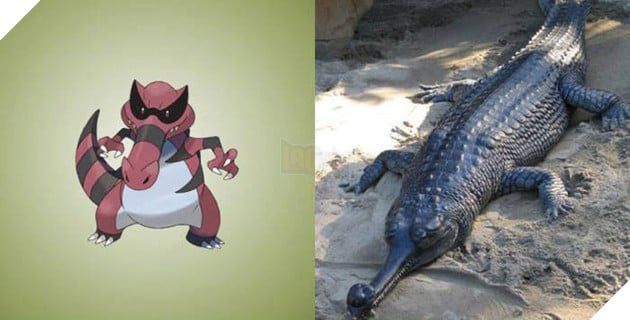 Đây là hình ảnh của 15 loài Pokemon ngoài đời thực, bạn biết được bao nhiêu loài? - Ảnh 10.