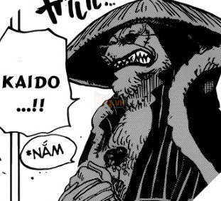 Góc soi mói One Piece 924: Kaido cố tình tha mạng cho Luffy? - Ảnh 15. Góc soi mói One Piece 924: Kaido cố tình tha mạng cho Luffy? - Ảnh 15.