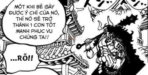 Góc soi mói One Piece 924: Kaido cố tình tha mạng cho Luffy? - Ảnh 7. Góc soi mói One Piece 924: Kaido cố tình tha mạng cho Luffy? - Ảnh 7.