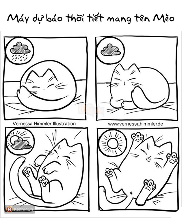 Bộ tranh: Dân nuôi mèo vào hết đây nhìn xem có thấy mình trong 1001 rắc rối này không nào! - Ảnh 7.