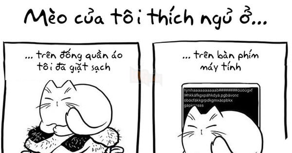 Bộ tranh: Dân nuôi mèo vào hết đây nhìn xem có thấy mình trong 1001 rắc rối này không nào!