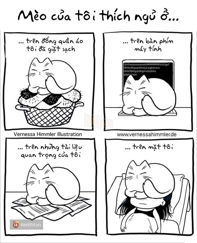 Bộ tranh: Dân nuôi mèo vào hết đây nhìn xem có thấy mình trong 1001 rắc rối này không nào! - Ảnh 19.