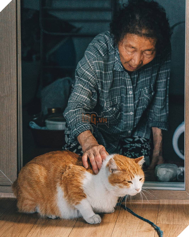 Bộ ảnh đầy cảm x&#250;c của cụ b&#224; H&#224;n Quốc: Tuổi gi&#224; chẳng cần g&#236;, chỉ cần một ch&#250; m&#232;o b&#233;o bầu bạn th&#244;i - Ảnh 7.