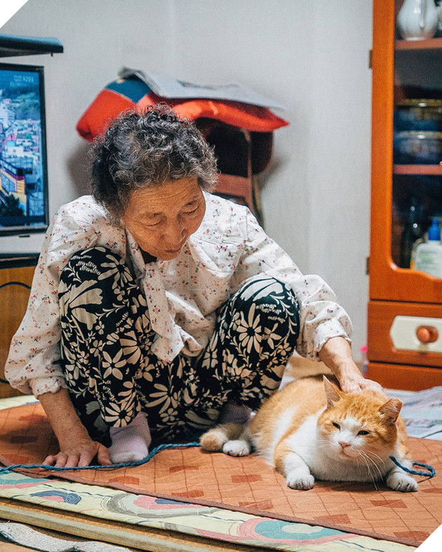 Bộ ảnh đầy cảm x&#250;c của cụ b&#224; H&#224;n Quốc: Tuổi gi&#224; chẳng cần g&#236;, chỉ cần một ch&#250; m&#232;o b&#233;o bầu bạn th&#244;i - Ảnh 7.