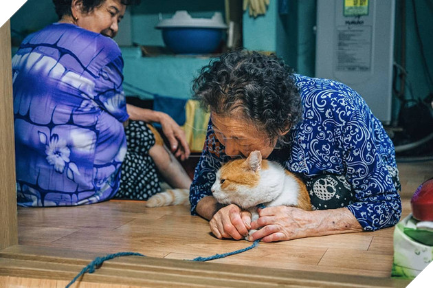 Bộ ảnh đầy xúc cảm của cụ bà Hàn Quốc: Tuổi già chẳng cần gì cả, chỉ cần một chú mèo cùng bầu bạn mà thôi - Ảnh 9.