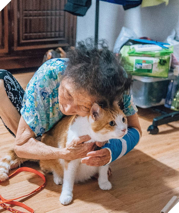 Bộ ảnh đầy cảm x&#250;c của cụ b&#224; H&#224;n Quốc: Tuổi gi&#224; chẳng cần g&#236;, chỉ cần một ch&#250; m&#232;o b&#233;o bầu bạn th&#244;i - Ảnh 5.