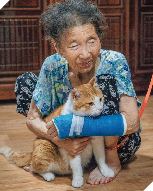 Bộ ảnh đầy cảm x&#250;c của cụ b&#224; H&#224;n Quốc: Tuổi gi&#224; chẳng cần g&#236;, chỉ cần một ch&#250; m&#232;o b&#233;o bầu bạn th&#244;i - Ảnh 5.