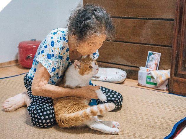 Bộ ảnh đầy cảm x&#250;c của cụ b&#224; H&#224;n Quốc: Tuổi gi&#224; chẳng cần g&#236;, chỉ cần một ch&#250; m&#232;o b&#233;o bầu bạn th&#244;i - Ảnh 5.