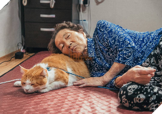 Bộ ảnh đầy xúc cảm của cụ bà Hàn Quốc: Tuổi già chẳng cần gì cả, chỉ cần một chú mèo cùng bầu bạn mà thôi - Ảnh 8.