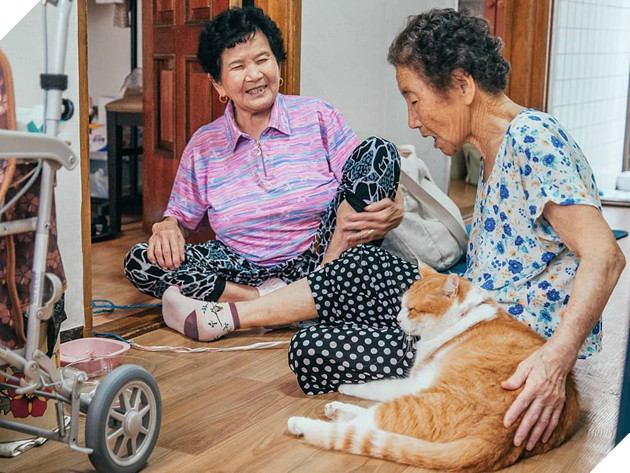 Bộ ảnh đầy xúc cảm của cụ bà Hàn Quốc: Tuổi già chẳng cần gì cả, chỉ cần một chú mèo cùng bầu bạn mà thôi - Ảnh 6.