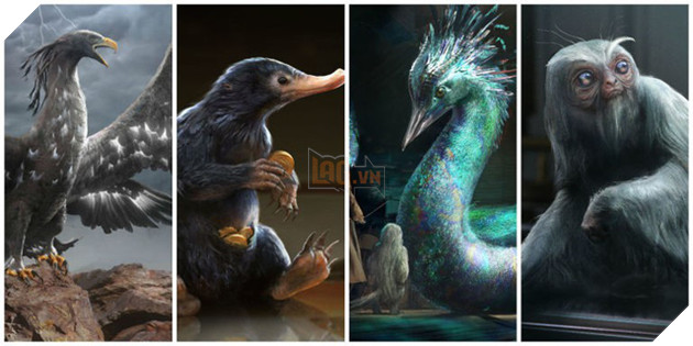 12 sinh vật huyền bí hiếm có khó tìm từng xuất hiện trong Fantastic Beasts And Where To Find Them (Phần 1) - Ảnh 1.