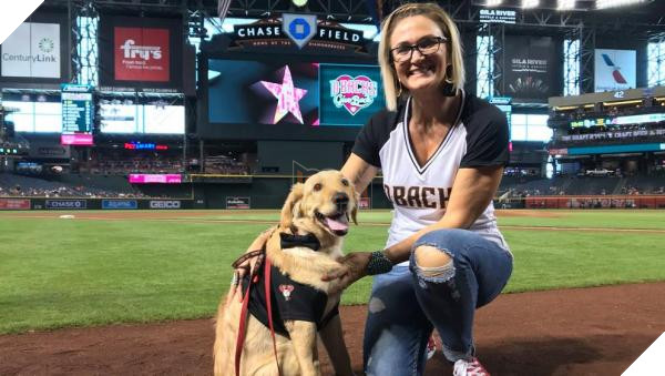 lost bird chu cun bi ran can duoc vinh danh chu cho cua nam 4