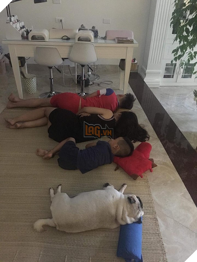 Chăm “boss” 2 năm ròng, “sen” ngã ngửa khi một ngày thấy mình nuôi nhầm con… lợn 13