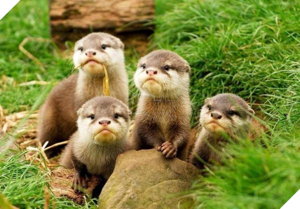 7183660 9e0747b9a6a85f1375e718283b38fae9 0617700001540361584 728 197ab19a6c 1541164176