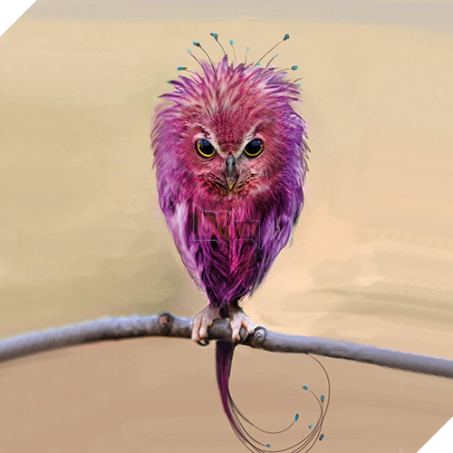 20 sinh vật huyền bí hiếm có khó tìm từng xuất hiện trong Fantastic Beasts And Where To Find Them (Phần 2) - Ảnh 6.