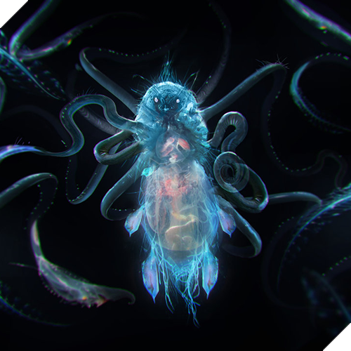 20 sinh vật huyền bí hiếm có khó tìm từng xuất hiện trong Fantastic Beasts And Where To Find Them (Phần 2) - Ảnh 12.