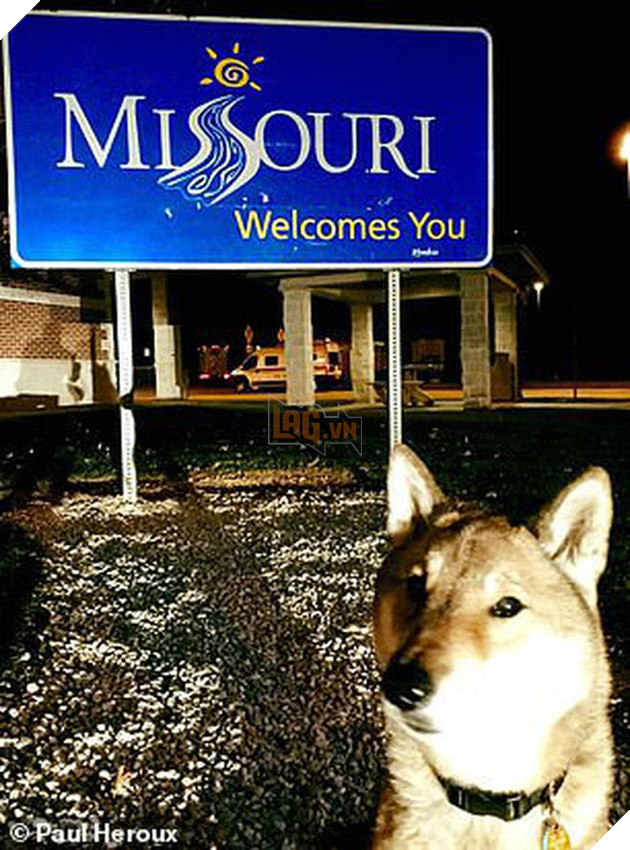 Biết tin chó cưng bị ung thư, thị trưởng Massachusettsưa đưa chú đi du lịch nước Mỹ lần cuối