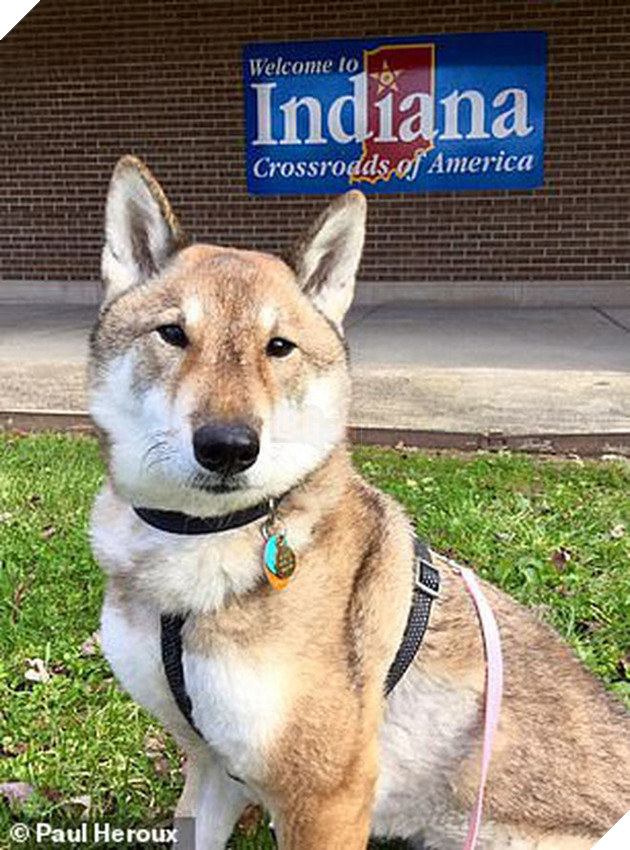 
Hai người bạn đã đặt chân đến nhiều nơi và chụp rất nhiều ảnh lưu niệm