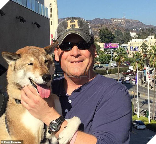 Biết tin chó cưng bị ung thư, thị trưởng Massachusettsưa đưa chú đi du lịch nước Mỹ lần cuối