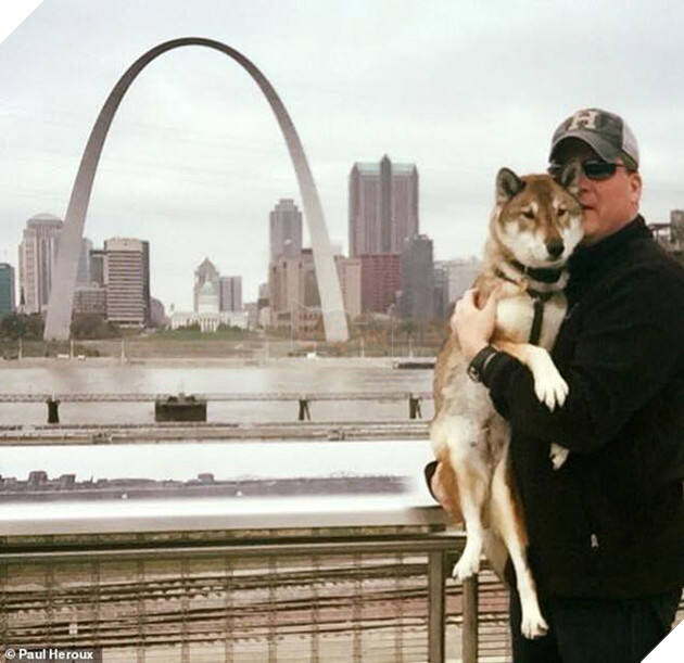 
Thật khó để nói lời chia tay với người bạn nhỏ đã gắn bó bên cạnh mình suốt một thập kỷ qua